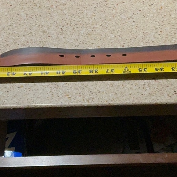 Fossil Belt - Picture 7 of 8